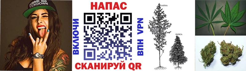 Бошки Шишки Ganja  Купить закладки  Мценск 